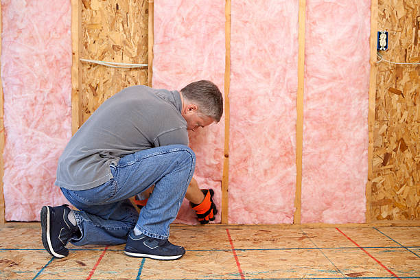 Best Cellulose Insulation in Luray, VA