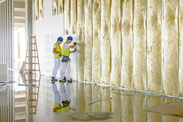Best Specialized Insulation Services in Luray, VA